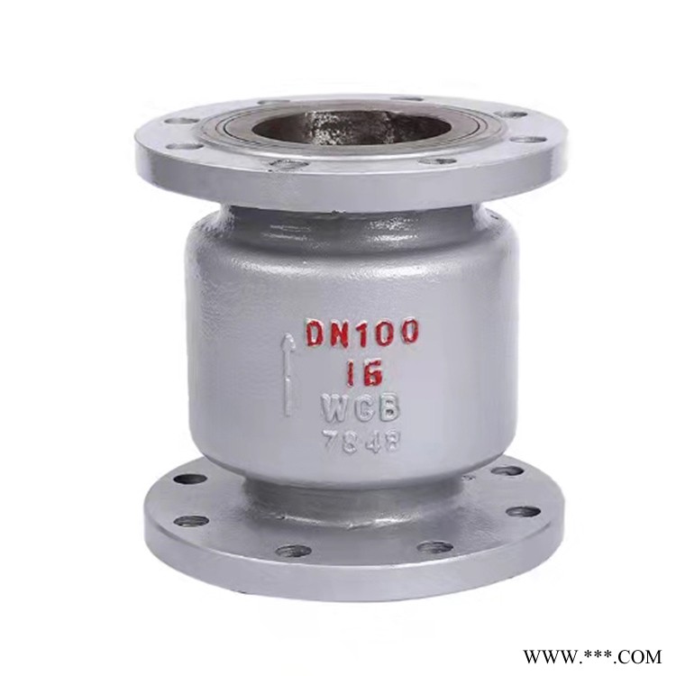 立式衬氟止回阀  DN80立式止回阀  厂家供应  嘉悦诚图1