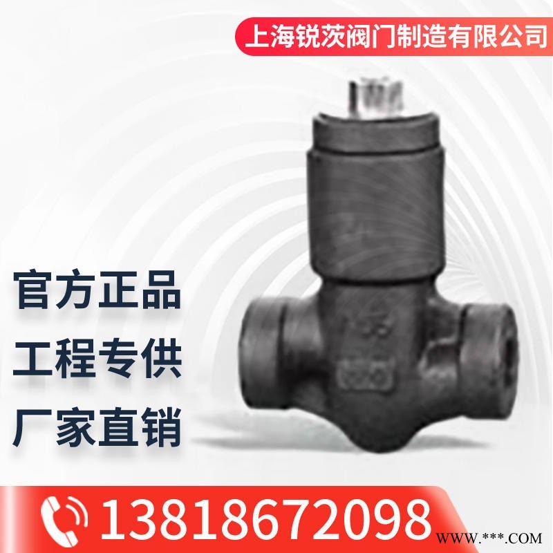 H64Y自密封旋启式止回阀DN25 32 40 50 65直通式螺纹旋启式止回阀上海锐茨阀门厂家直销图1