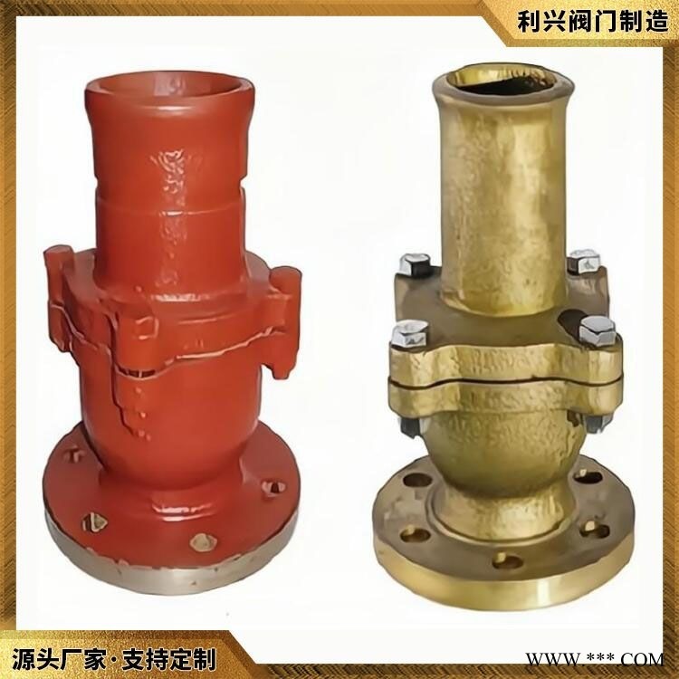 利兴CBT3478-92船用法兰铸铁青铜吸入止回阀 供应定制图1