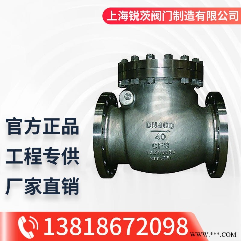 Hy44W(F)氧气不锈钢止回阀 DN40-500mm 防止管道内介质倒流阀 锐茨阀门厂家直销图1