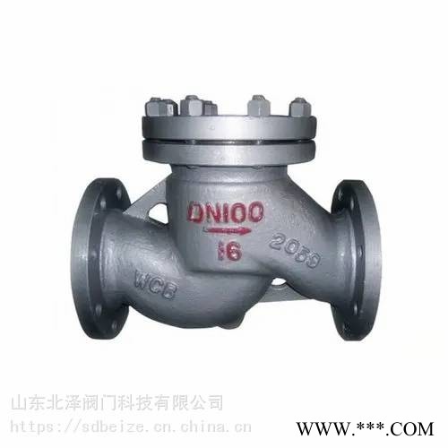 供应卧式水平安装铸钢WCB304材质H41升降式止回阀图1
