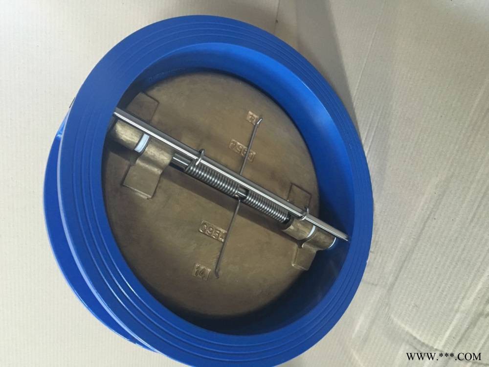 DH77X-16美标蝶式止回阀天津生产厂家图1