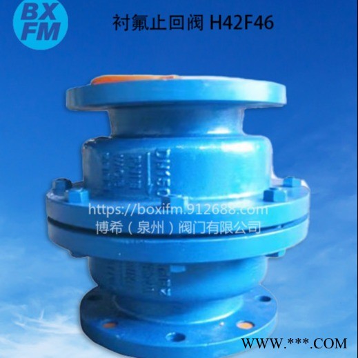 衬氟法兰止回阀H42F46图1