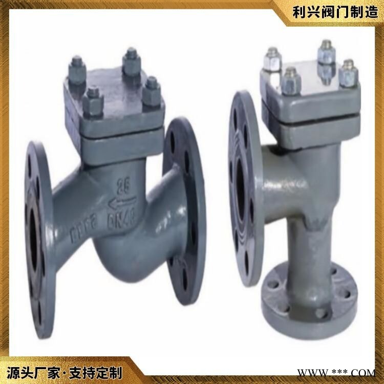 利兴 CBM1050船用法兰式铸钢止回阀 型号齐全 欢迎来电图1