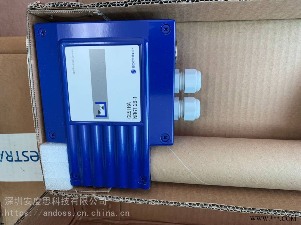 供应GESTRA杰斯特拉止回阀RK86A DN32 PN40