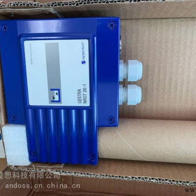 供应GESTRA杰斯特拉止回阀RK86A DN32 PN40