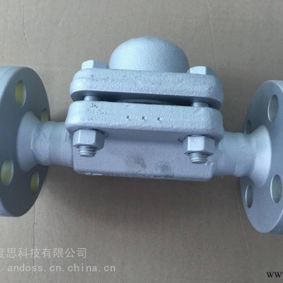 供应GESTRA杰斯特拉止回阀RK71 PN16 DN80
