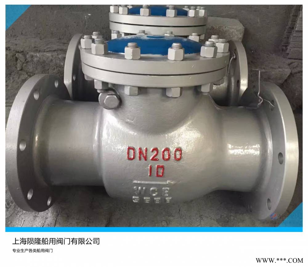 陨隆船阀 CB/T4189-2011 船用铸钢旋启式止回阀图1