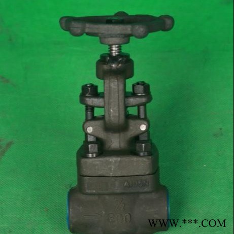 J61Y-800LB锻钢截止阀  电厂专用截止阀