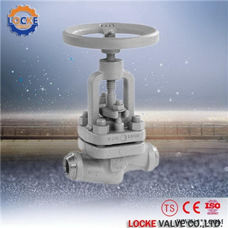 进口高温高压截止阀|德国洛克品牌Locke图1