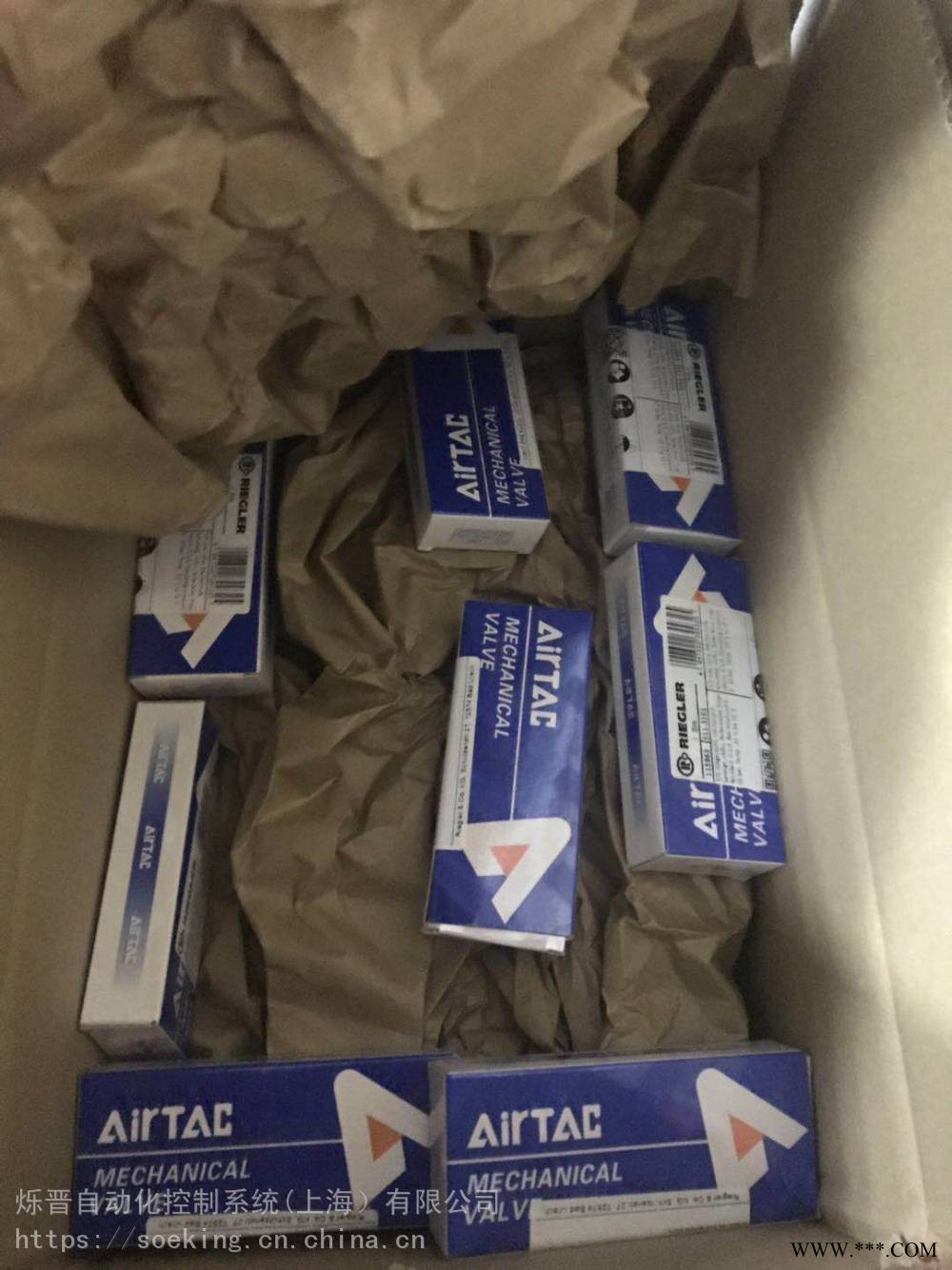 德国进口优势供应 截止阀 riegler排气阀 500.18 快速排气门图1