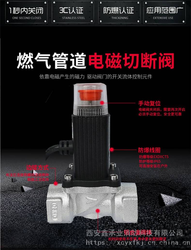 DN15 20民用电磁阀 家用4分内丝接口切断阀 燃气管道截止阀