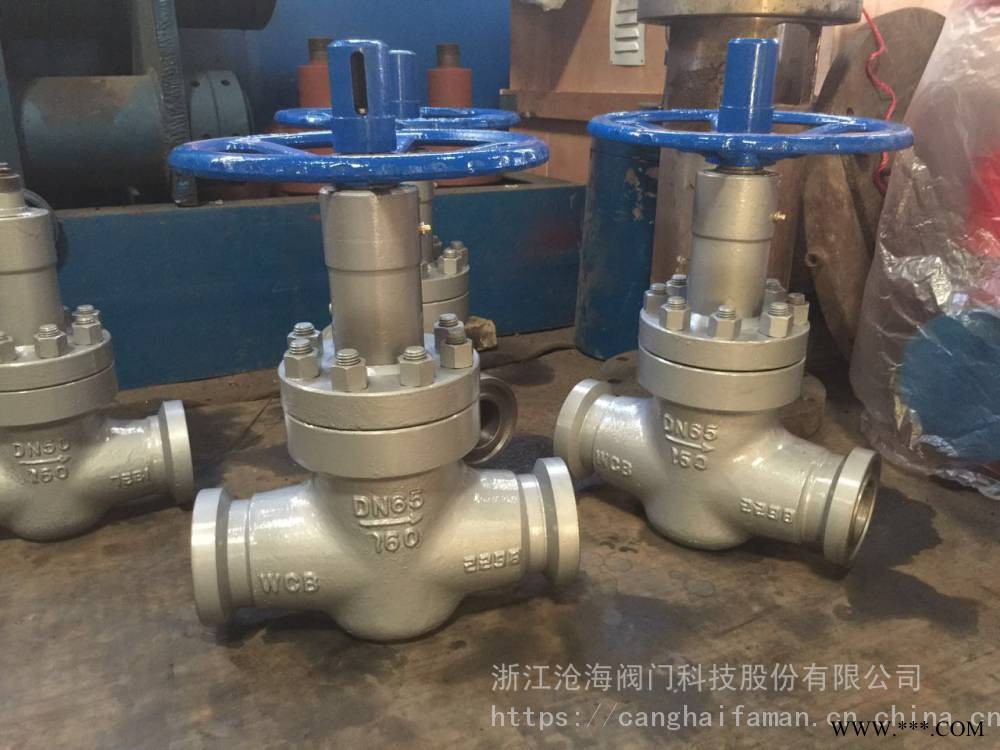 CHVJ 沧海阀门 卡箍平衡式节流阀L/J86Y-160 DN80 卡箍截止阀图1