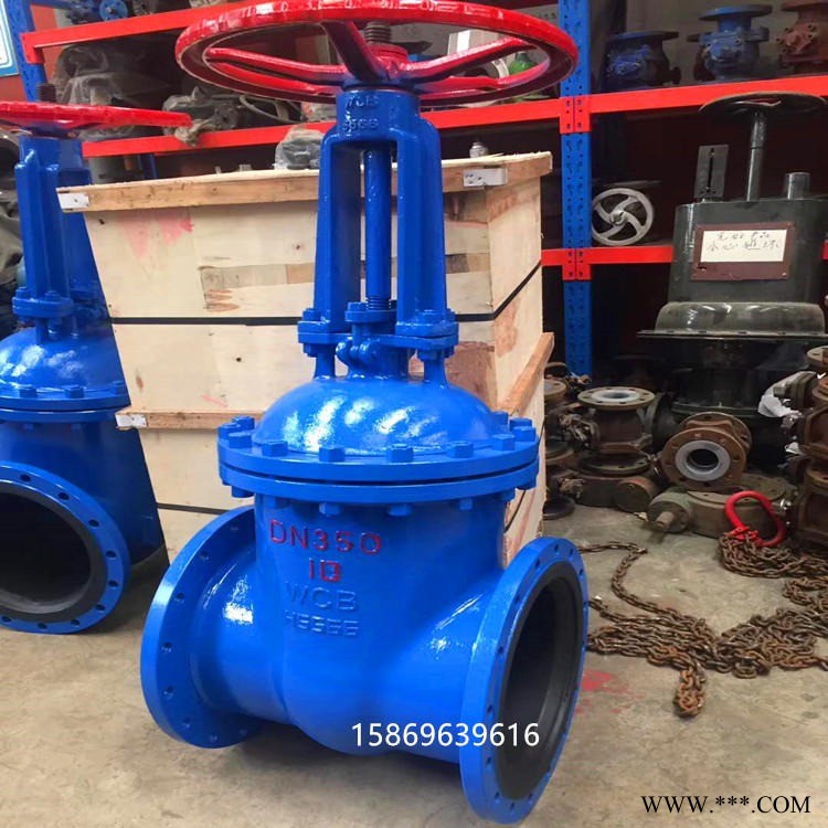 厂家直销Z41J-16C衬胶闸阀  衬胶法兰闸阀  耐腐蚀耐酸碱闸阀  衬胶耐磨闸阀  铸钢衬胶闸阀图1