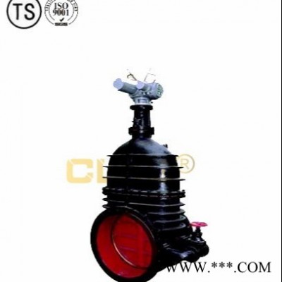 铸铁闸阀 Z41T明杆闸阀 Z45T暗杆闸阀 CLKG /弗西尼 可定制非标