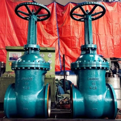 品质供应 DSZ64H水封闸阀 铸钢水封闸阀 型号齐全