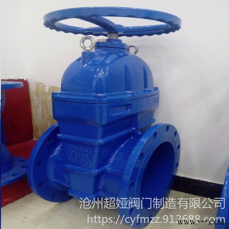 超娅  厂家直销   软密封闸阀   Z45X闸阀   暗杆闸阀等   型号种类齐全