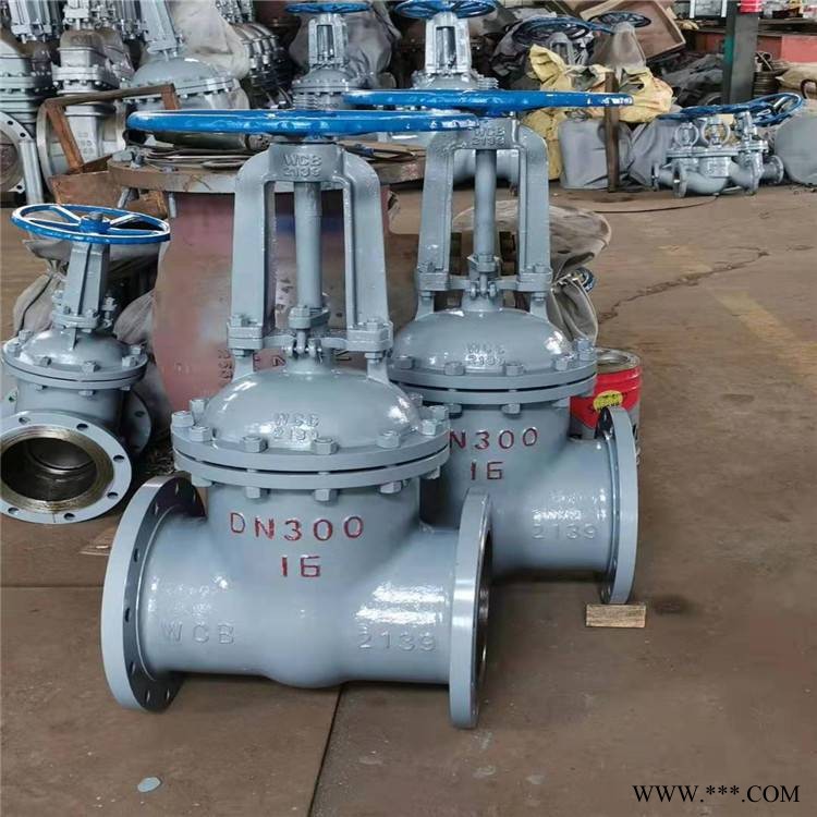 Z41-64CDN25明杆铸钢闸阀手动法兰化工专用闸阀大理阀门经销商图1