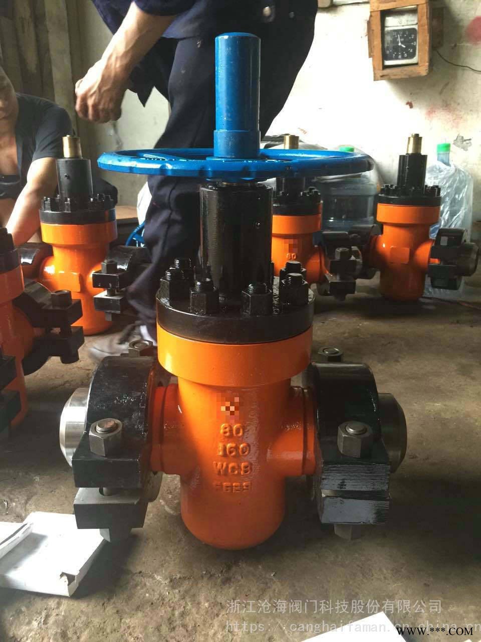CHVJ 沧海阀门卡箍闸阀 Z83Y-250 DN25 配套卡箍闸阀 采油树图1