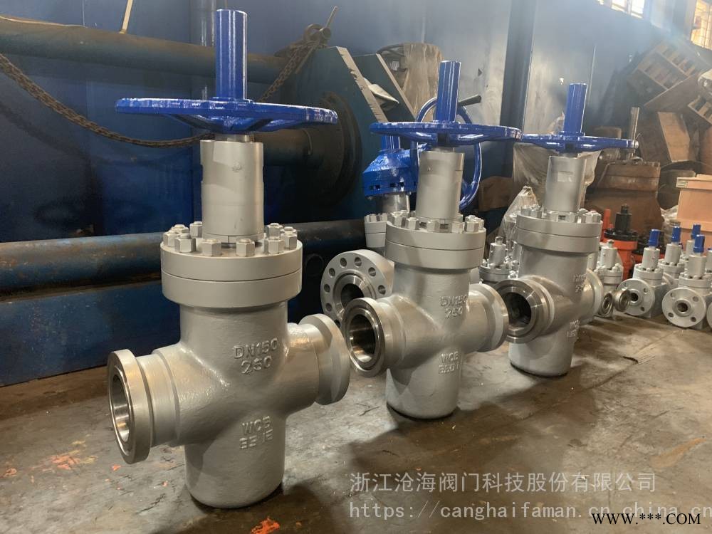 CHVJ 沧海阀门卡箍闸阀 Z83Y-250 DN125 配套卡箍闸阀 采油树图1