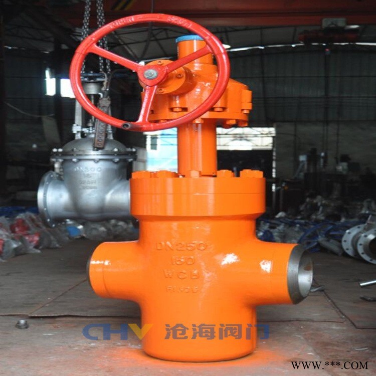 CHVJ沧海KZ63Y-250高压抗硫焊接平板闸阀图1