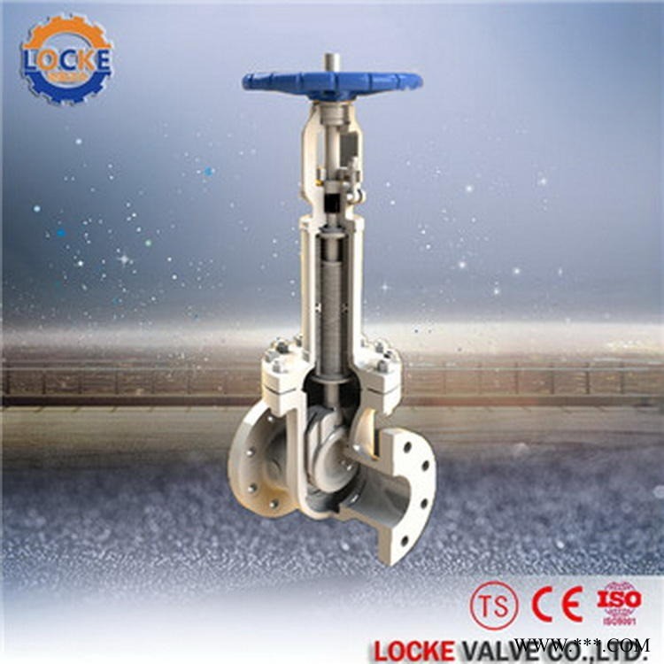 进口波纹管闸阀|德国洛克品牌Locke图1