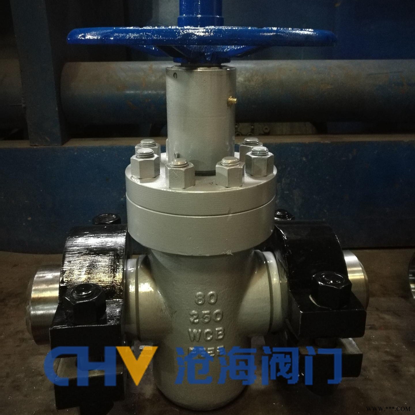 CHVJ沧海KZ83Y-250高压抗硫卡箍闸阀图1