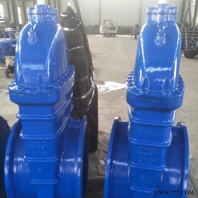 Z45X-16Q   DN500暗杆大口径软密封闸阀  超娅厂家直销   低压管道专用闸阀  支持定制