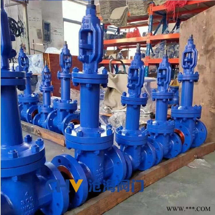 CHVJ沧海WZ41W-25P不锈钢波纹管硬密封闸阀图1