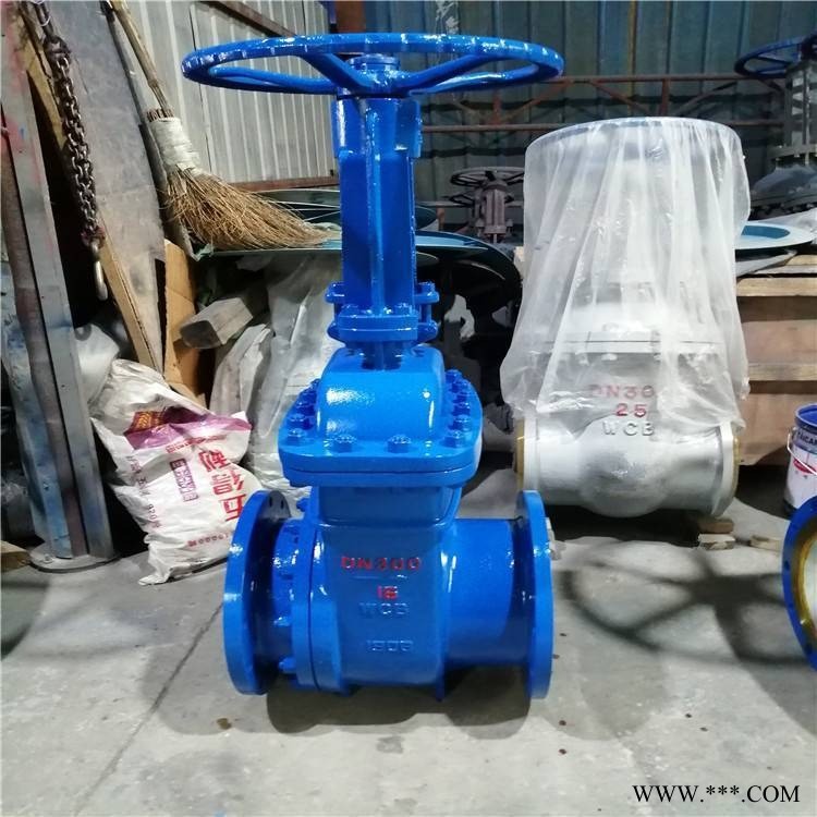 巨博 Z741T-10液动铸铁明杆楔式闸阀 防腐耐磨图1