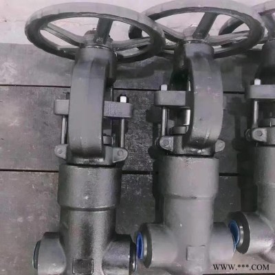泰瓯阀门 KZ61Y锻钢抗硫闸阀