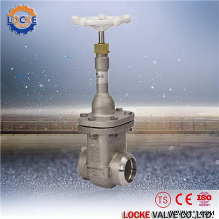 进口低温闸阀|德国洛克品牌Locke图1