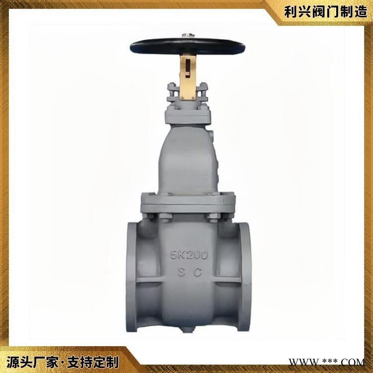 利兴 jis f7363c船用日标铸钢闸阀 提供各种精品阀门图1