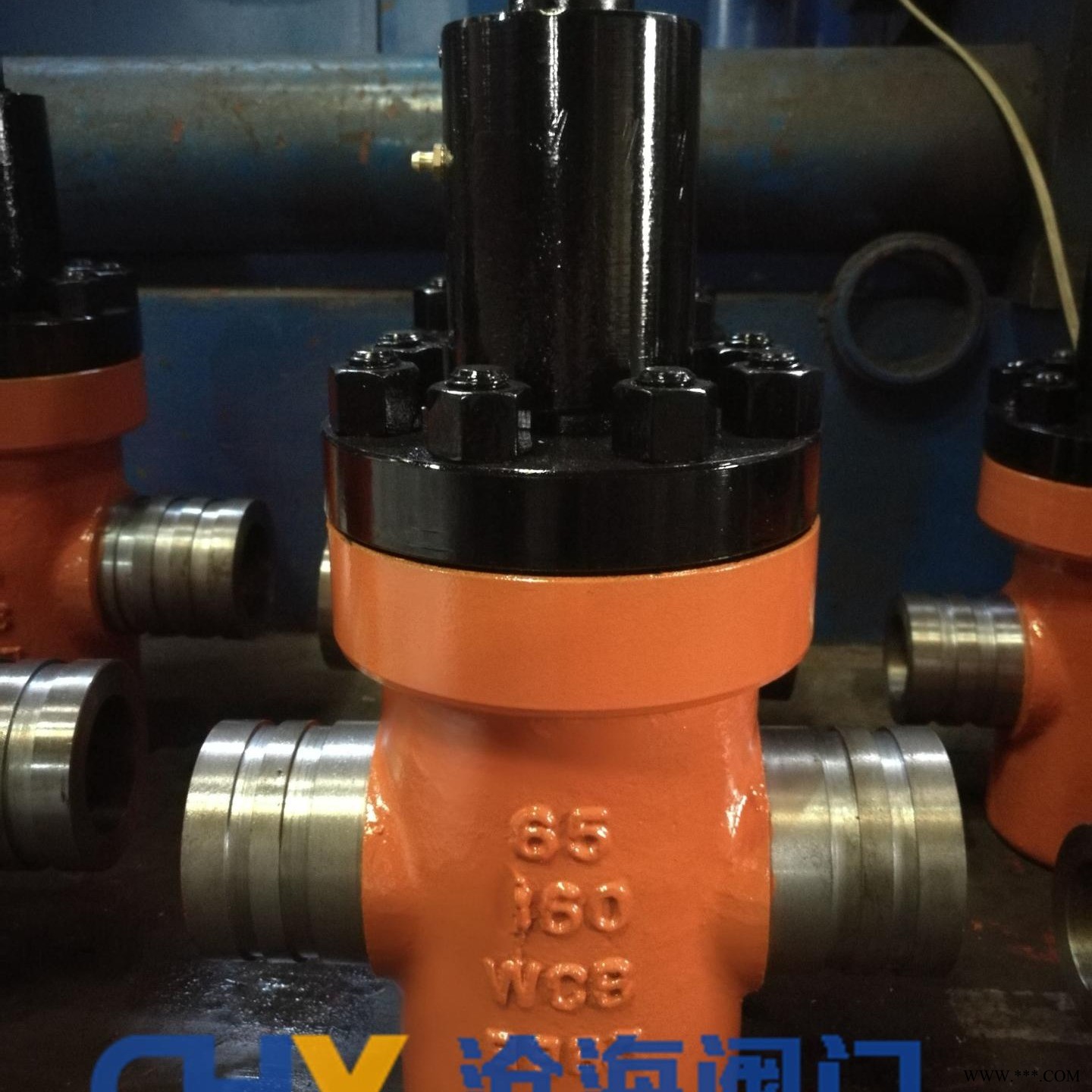 CHVJ沧海GZF63Y-400-Φ76/Φ89/Φ108/Φ121/Φ133特高压闸阀图1