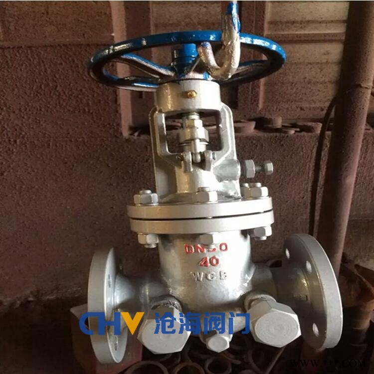 CHVJ沧海CYZ40W-16P抗硫不锈钢差压油密封弹性闸阀图1