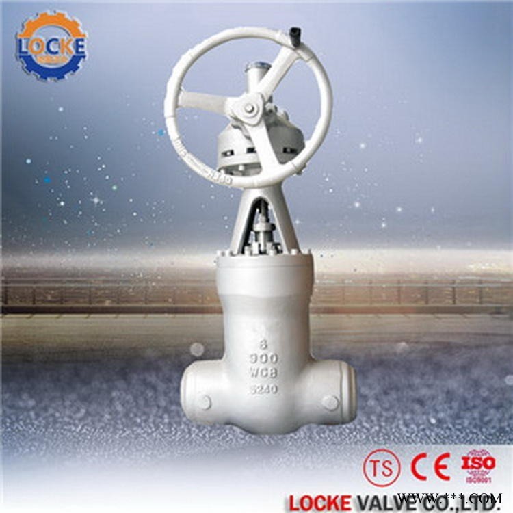 进口高温对焊闸阀|德国洛克品牌Locke图1