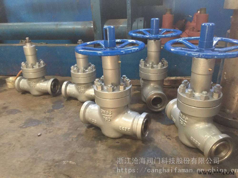 CHVJ 沧海阀门 卡箍平衡式节流阀L/J86Y-160 DN65 卡箍截止阀