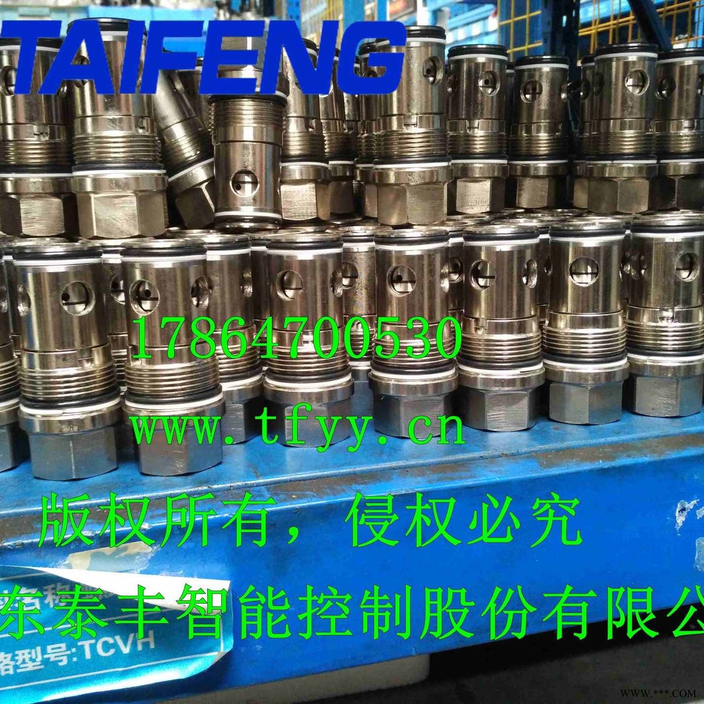 山东泰丰液压专业供应TCVH螺纹单向阀