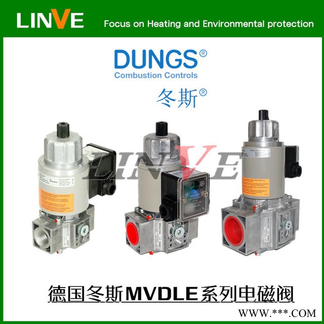德国冬斯燃烧机电磁阀MVDLE205/5 利雅路GS10燃烧机专用电磁阀图1