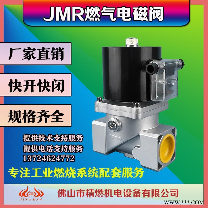 VMR3-DN25燃气电磁阀 伊莱克斯天燃气液化气烧嘴电磁阀 精燃JMR电磁阀图1