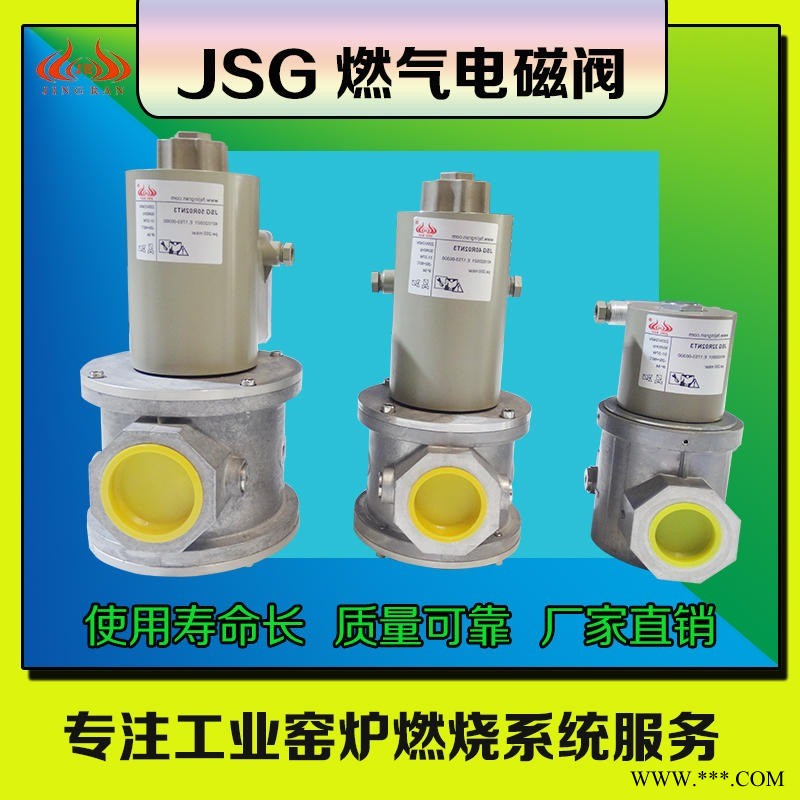 烧嘴燃气电磁阀 JSG 40R02NT3  燃气窑炉专用电磁阀 DN40快开电磁阀图1