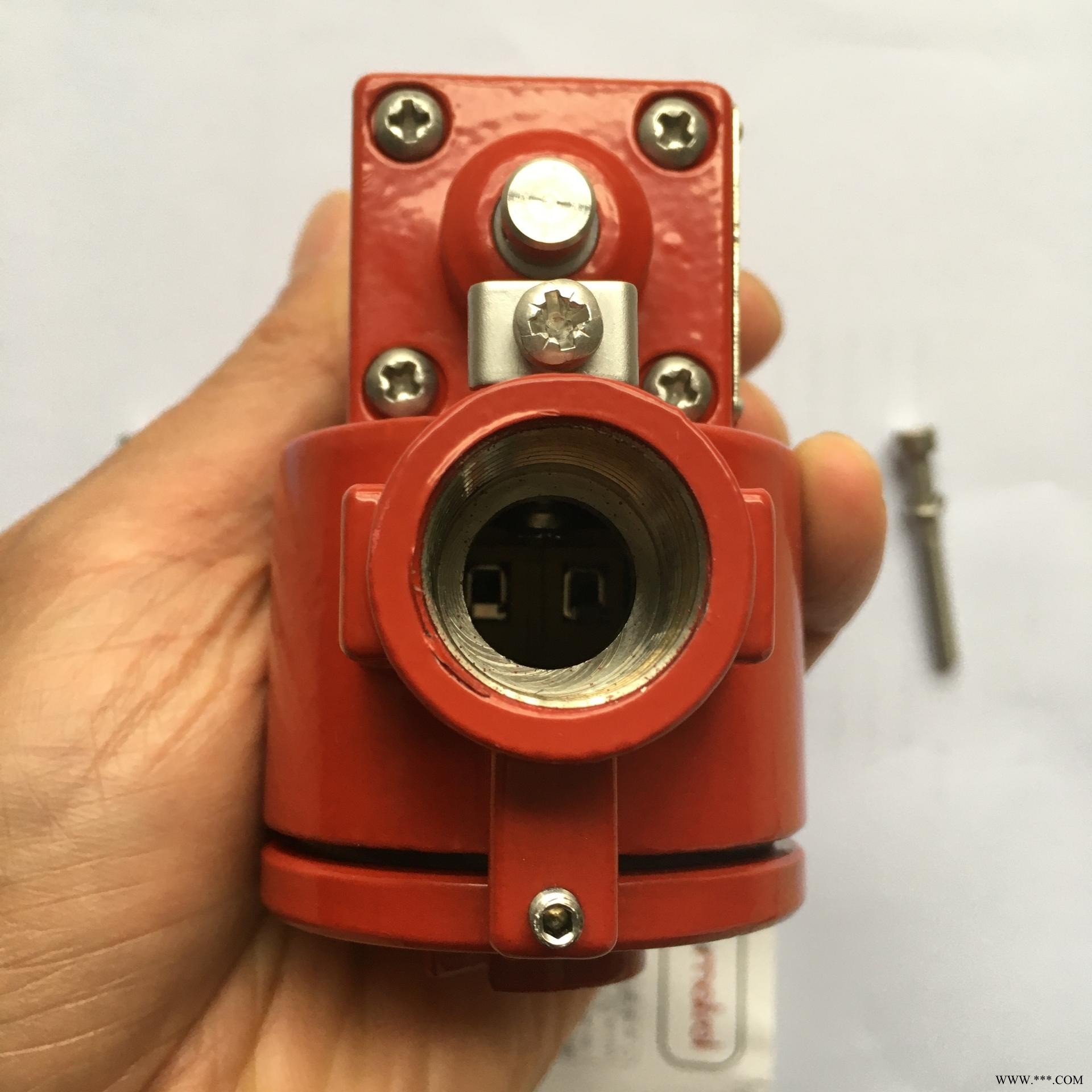 优势代理【原装】RGS电磁阀Pneumatrol防爆电磁阀C1519P0000图1