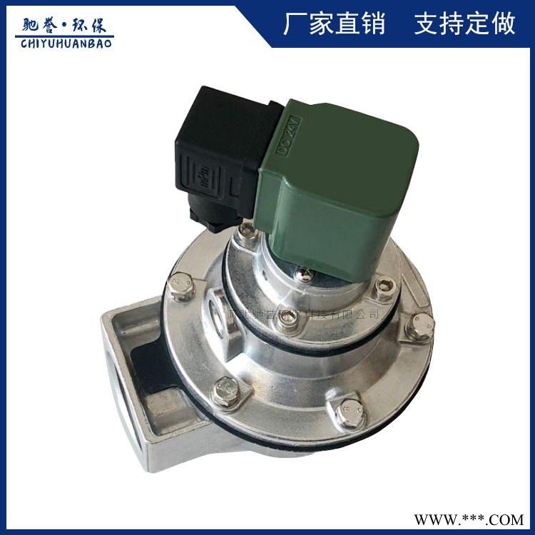 加工定制 袋式螺母连接直角式脉冲电磁阀 直角式淹没式电磁喷吹阀 经济型脉冲电磁阀图1