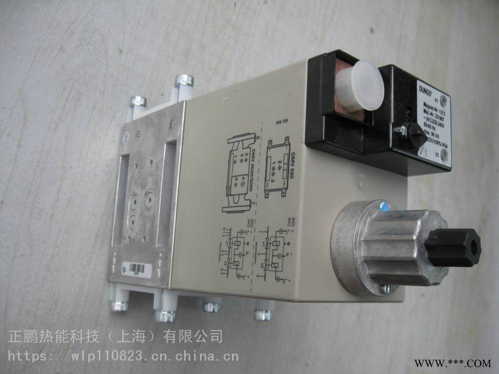 DMV 5065/11 eco快开双电磁阀德国DUNGS电磁阀技术参数图1