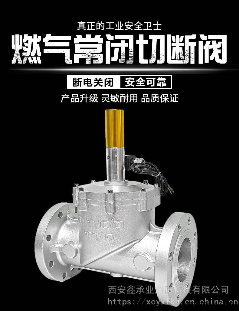 电磁式紧急切断阀 天然气管道电磁阀 防爆电磁阀 DN50常开常闭