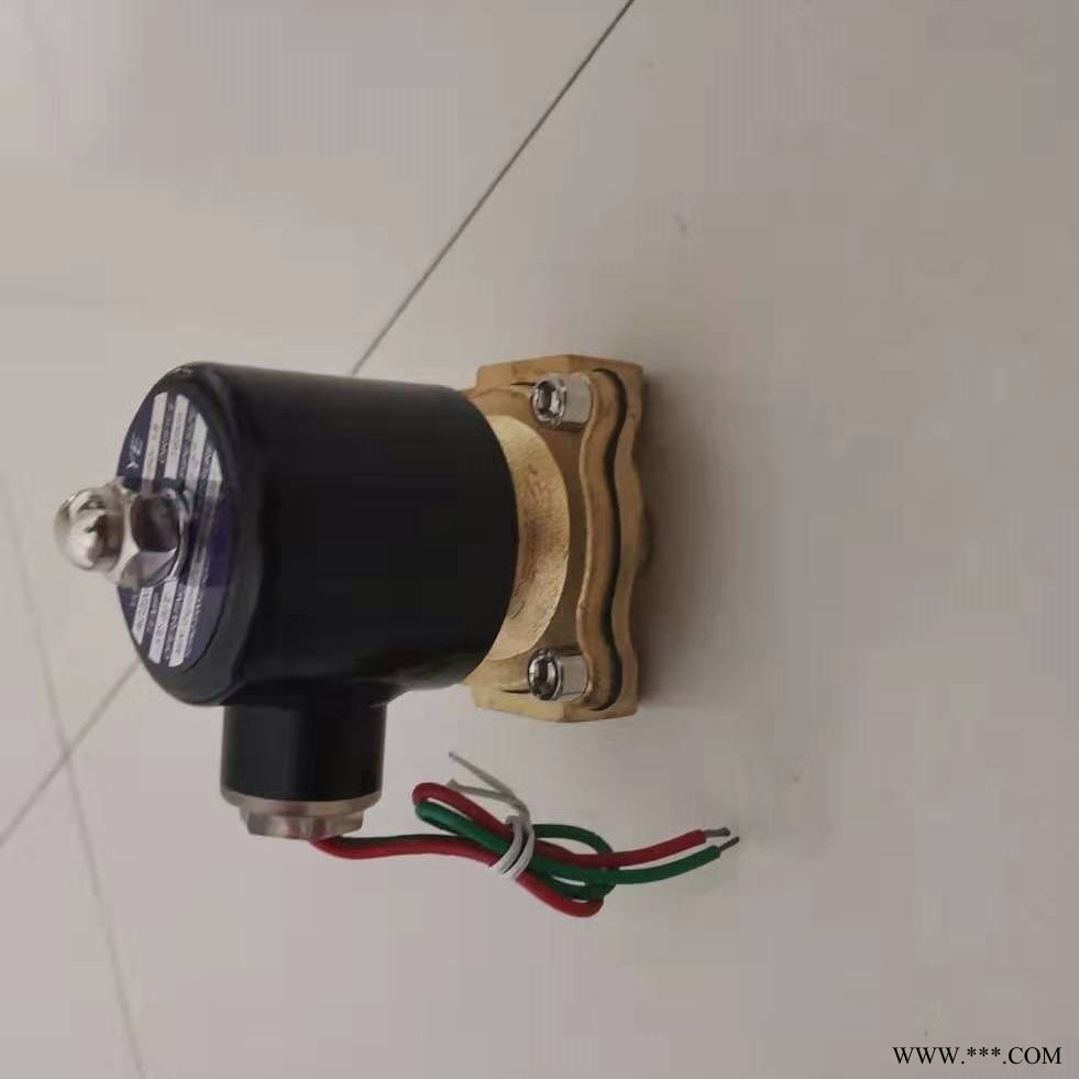 金楷供应 空气炮电磁阀 2W-15空气炮电磁阀 质量三包价格优