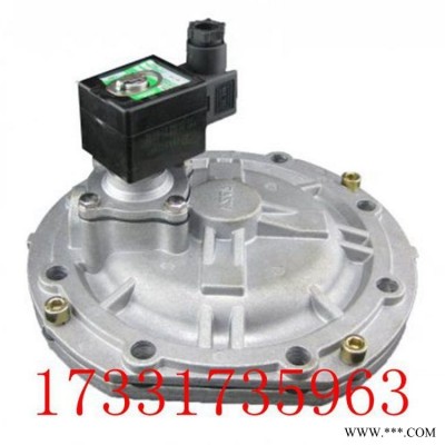 高原淹没式电磁脉冲阀GMF-Y-50S/62S/76S/DC24V/220V 除尘电磁阀  利尔环保生产
