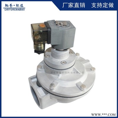 直角式电磁高原阀 双膜片电磁脉冲阀 袋式除尘器脉冲喷吹系统专用脉冲控制阀 电磁阀