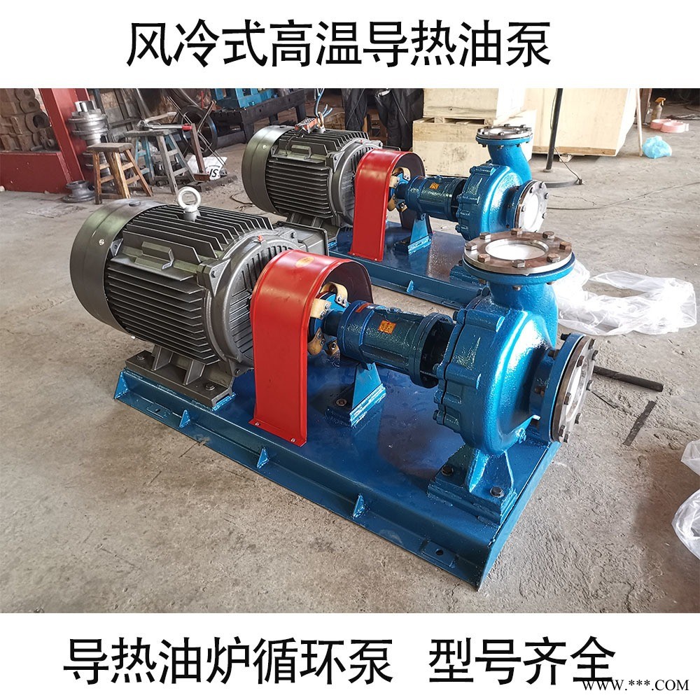 RY型导热油泵 风冷式离心泵 RY高温热油泵 锅炉循环油泵图1