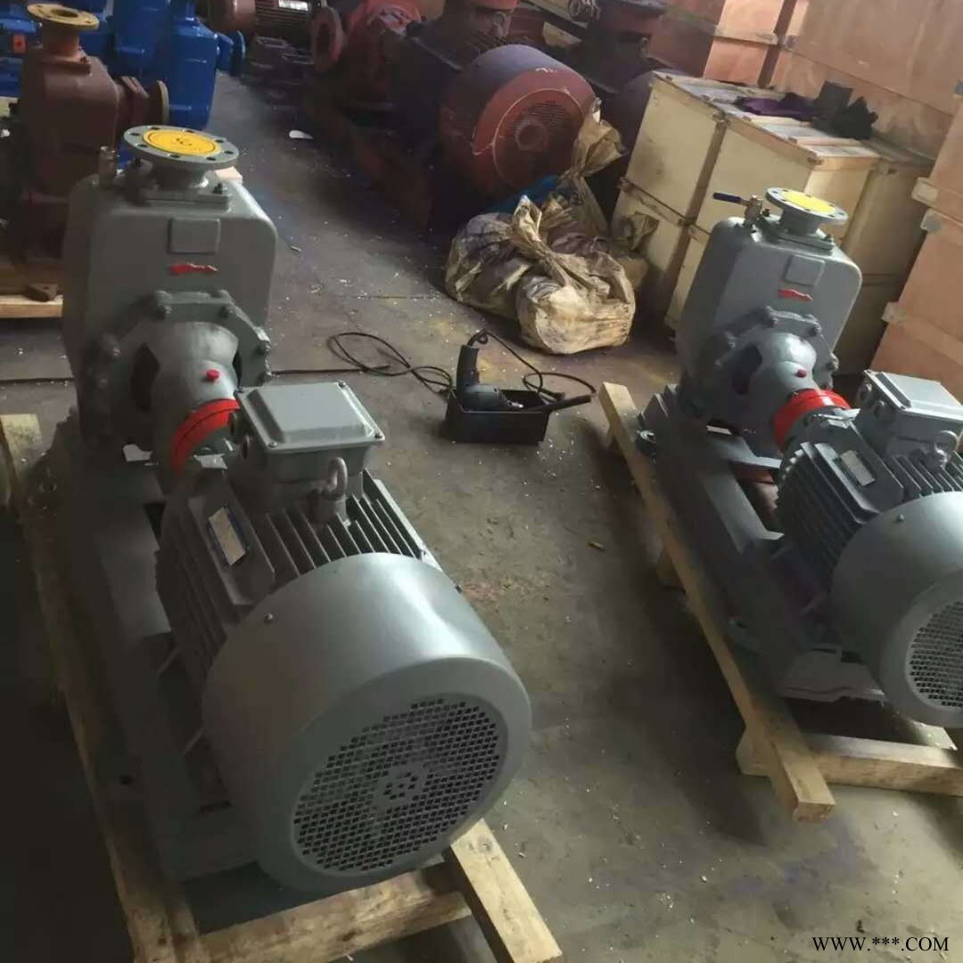 淳特 ZX 自吸离心泵 卧式液下排污泵 液下离心泵 可定制图1